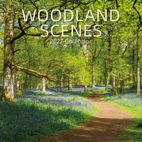 Woodland Scenes - 2027 Gifted Stationery Wall Calendar Monthly Planner