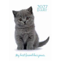 Adorable Cats - 2027 Gifted Stationery A5 Hardcover Week-to-View Diary
