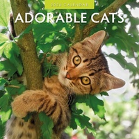 Adorable Cats - 2026 Red Robin Square Wall Calendar Monthly Planner