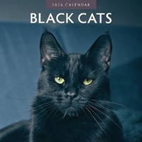 Black Cats - 2026 Red Robin Square Wall Calendar Monthly Planner