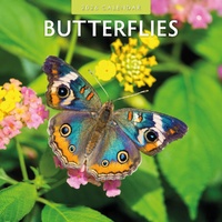 Butterflies - 2026 Red Robin Square Wall Calendar Monthly Planner