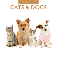Cats & Dogs - 2026 Red Robin Square Wall Calendar Monthly Planner