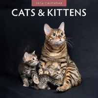 Cats & Kittens - 2026 Red Robin Square Wall Calendar Monthly Planner