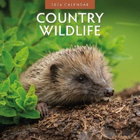 Country Wildlife - 2026 Red Robin Square Wall Calendar Monthly Planner