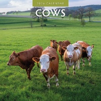 Cows - 2026 Red Robin Square Wall Calendar Monthly Planner
