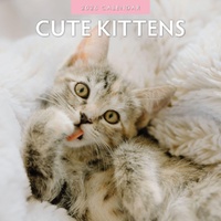 Cute Kittens - 2026 Red Robin Square Wall Calendar Monthly Planner