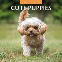 Cute Puppies - 2026 Red Robin Square Wall Calendar Monthly Planner