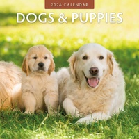 Dogs & Puppies - 2026 Red Robin Square Wall Calendar Monthly Planner