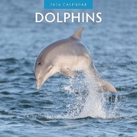 Dolphins - 2026 Red Robin Square Wall Calendar Monthly Planner
