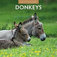 Donkeys - 2026 Red Robin Square Wall Calendar Monthly Planner