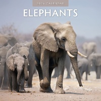 Elephants - 2026 Red Robin Square Wall Calendar Monthly Planner