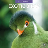 Exotic Birds - 2026 Red Robin Square Wall Calendar Monthly Planner