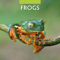 Frogs - 2026 Red Robin Square Wall Calendar Monthly Planner