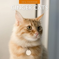 Ginger Cats - 2026 Red Robin Square Wall Calendar Monthly Planner