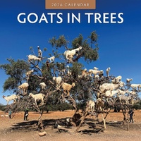Goats in Trees - 2026 Red Robin Square Wall Calendar Monthly Planner