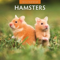 Hamsters  - 2026 Red Robin Square Wall Calendar Monthly Planner