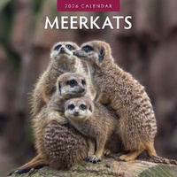 Meerkats - 2026 Red Robin Square Wall Calendar Monthly Planner