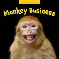 Monkey Business - 2026 Red Robin Square Wall Calendar Monthly Planner
