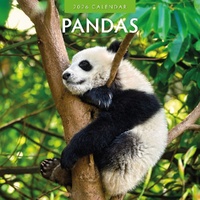 Pandas - 2026 Red Robin Square Wall Calendar Monthly Planner