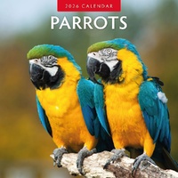 Parrots  - 2026 Red Robin Square Wall Calendar Monthly Planner