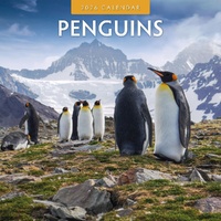 Penguins - 2026 Red Robin Square Wall Calendar Monthly Planner