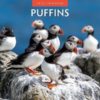 Puffins - 2026 Red Robin Square Wall Calendar Monthly Planner