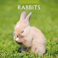 Rabbits - 2026 Red Robin Square Wall Calendar Monthly Planner