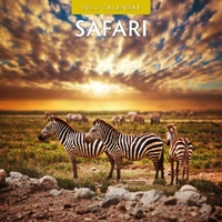 Safari - 2026 Red Robin Square Wall Calendar Monthly Planner