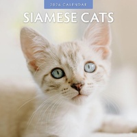 Siamese Cats - 2026 Red Robin Square Wall Calendar Monthly Planner
