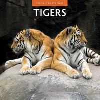 Tigers - 2026 Red Robin Square Wall Calendar Monthly Planner