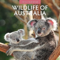 Wildlife of Australia - 2026 Red Robin Square Wall Calendar Monthly Planner