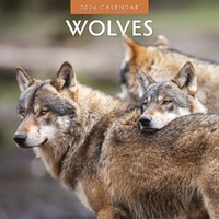 Wolves  - 2026 Red Robin Square Wall Calendar Monthly Planner