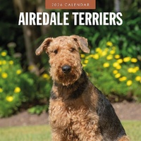 Airedale Terriers - 2026 Red Robin Square Wall Calendar Monthly Planner