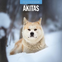 Akitas - 2026 Red Robin Square Wall Calendar Monthly Planner