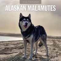 Alaskan Malamutes - 2026 Red Robin Square Wall Calendar Monthly Planner