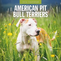 American Pit Bull Terriers - 2026 Red Robin Square Wall Calendar Monthly Planner