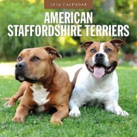 American Staffordshire Terriers - 2026 Red Robin Square Wall Calendar Planner