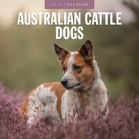 Australian Cattle Dogs - 2026 Red Robin Square Wall Calendar Monthly Planner