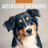 Australian Shepherds - 2026 Red Robin Square Wall Calendar Monthly Planner