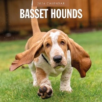 Basset Hounds - 2026 Red Robin Square Wall Calendar Monthly Planner