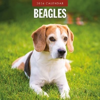 Beagles - 2026 Red Robin Square Wall Calendar Monthly Planner