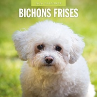 Bichons Frises - 2026 Red Robin Square Wall Calendar Monthly Planner