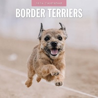 Border Terriers - 2026 Red Robin Square Wall Calendar Monthly Planner