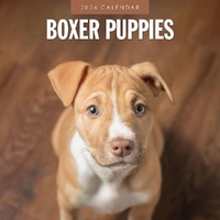 Boxer Puppies - 2026 Red Robin Square Wall Calendar Monthly Planner