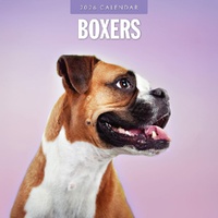 Boxers - 2026 Red Robin Square Wall Calendar Monthly Planner