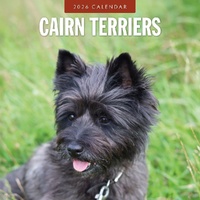 Cairn Terriers - 2026 Red Robin Square Wall Calendar Monthly Planner