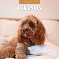 Cavapoos - 2026 Red Robin Square Wall Calendar Monthly Planner