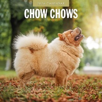 Chow Chows - 2026 Red Robin Square Wall Calendar Monthly Planner