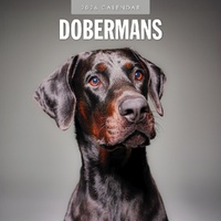 Dobermans - 2026 Red Robin Square Wall Calendar Monthly Planner