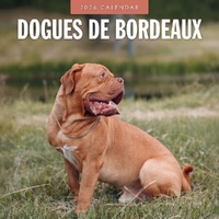 Dogues de Bordeaux - 2026 Red Robin Square Wall Calendar Monthly Planner